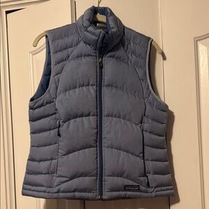 Patagonia Blue Puffer Vest